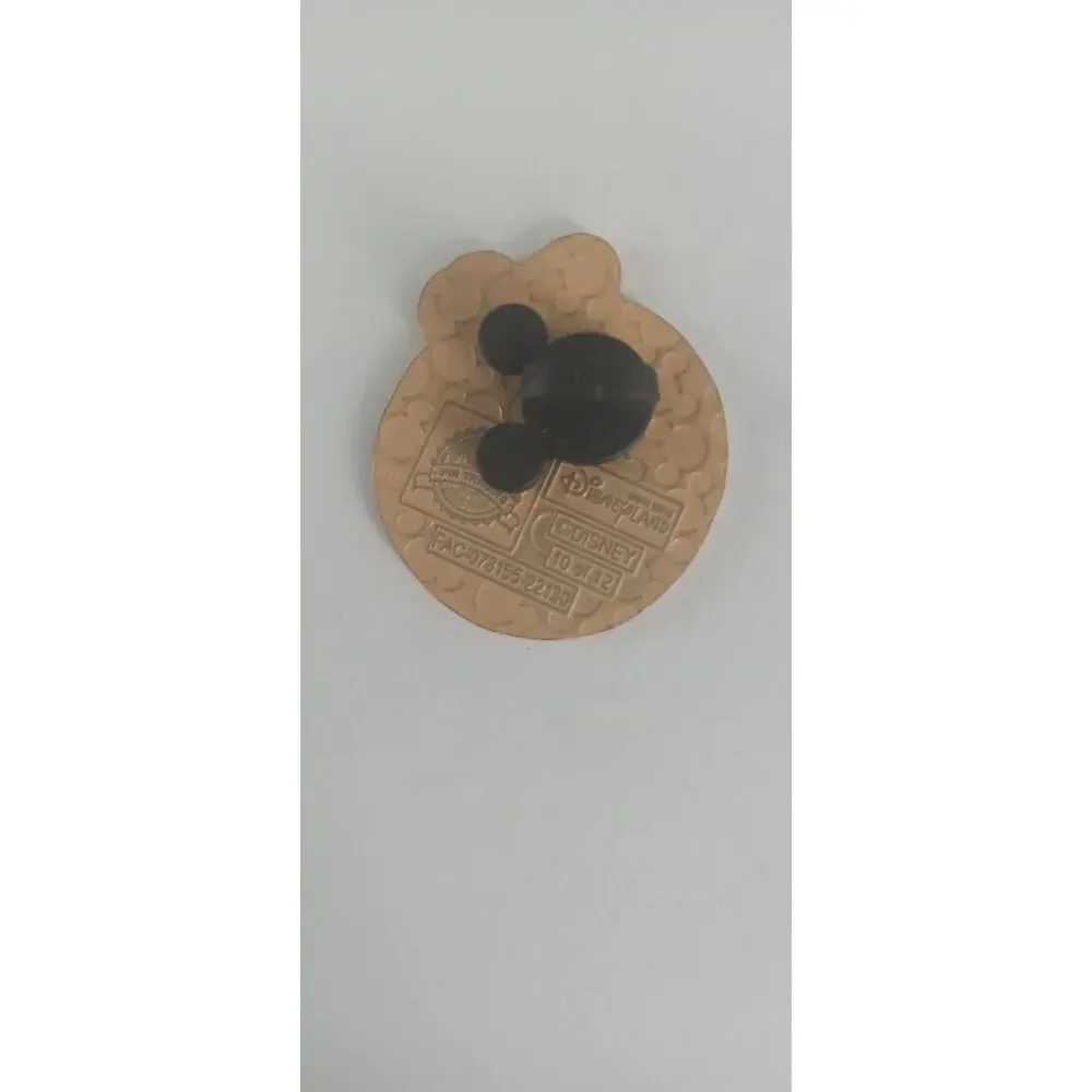 Disney trading ladybug pin.